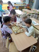 Интересный мир ракушек